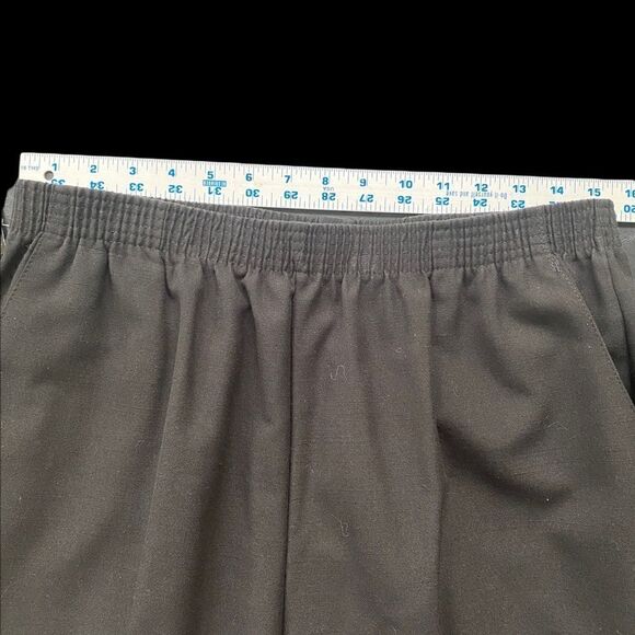 NWT Briggs of NY Career Dress Black Pants with Elastic Waistband Size 16P short - Picture 4 of 8